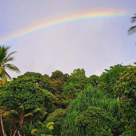 Vista Alta Ecolodge Bahia Drake Drake Bay Zewnętrze zdjęcie