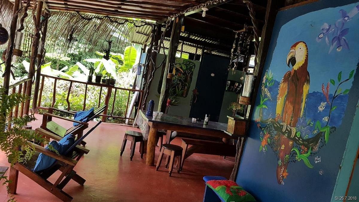 Vista Alta Ecolodge Bahia Drake Drake Bay Zewnętrze zdjęcie