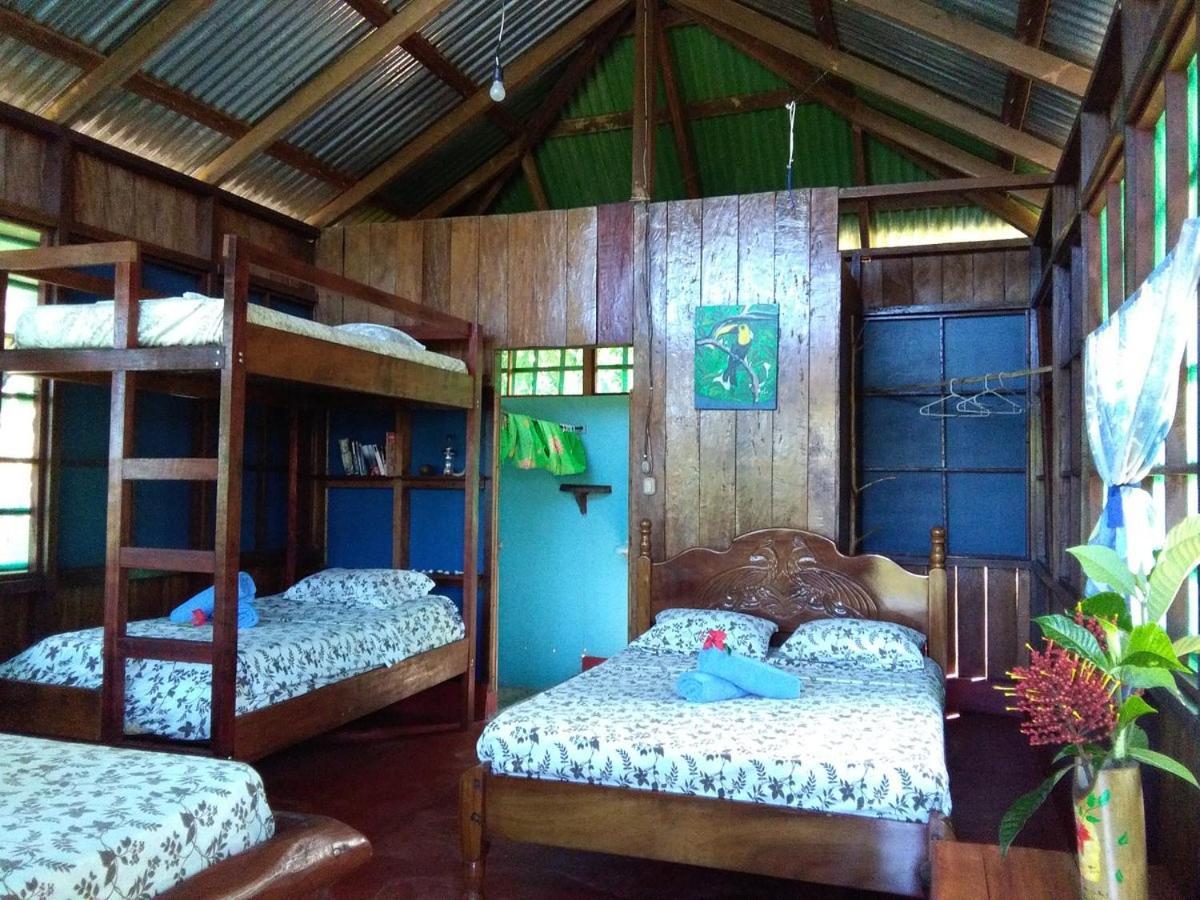 Vista Alta Ecolodge Bahia Drake Drake Bay Zewnętrze zdjęcie