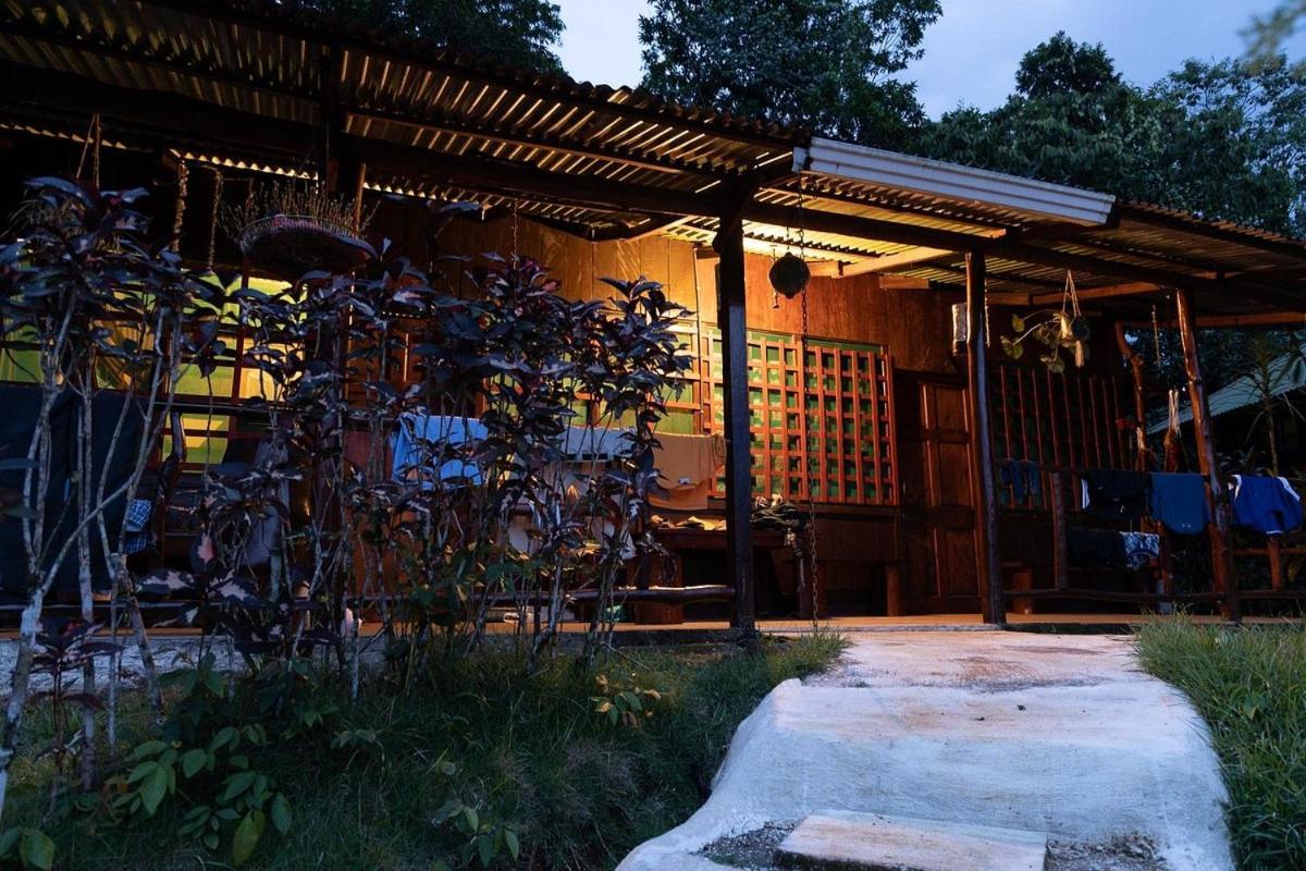 Vista Alta Ecolodge Bahia Drake Drake Bay Zewnętrze zdjęcie