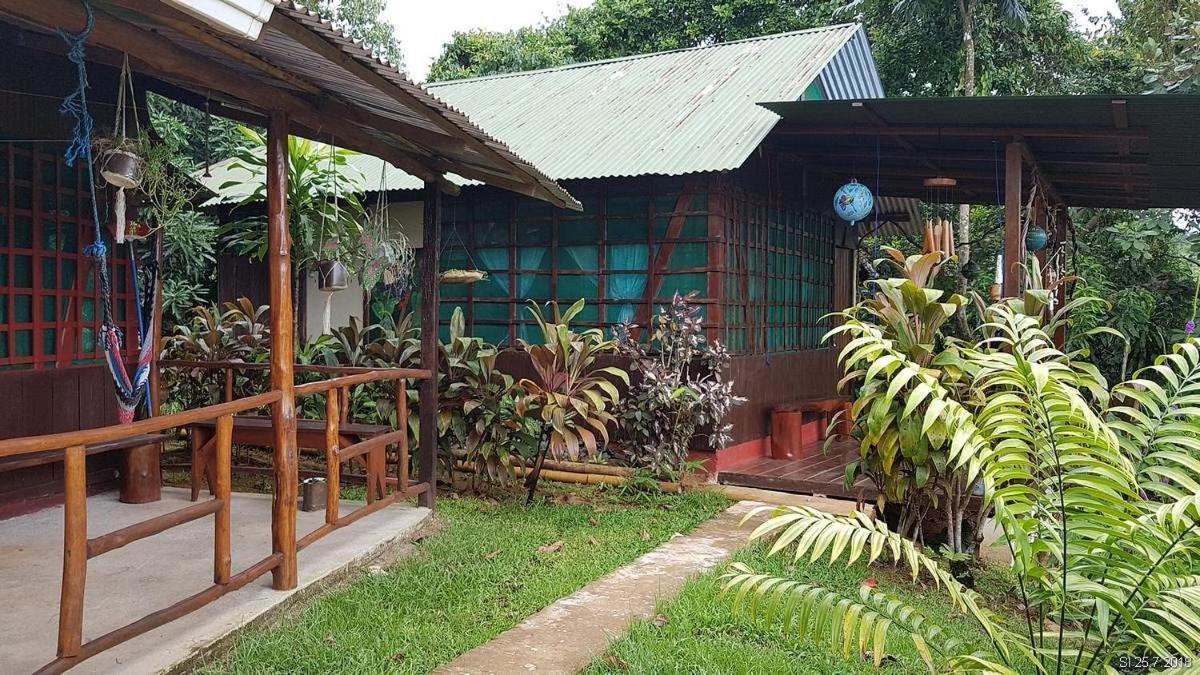 Vista Alta Ecolodge Bahia Drake Drake Bay Zewnętrze zdjęcie