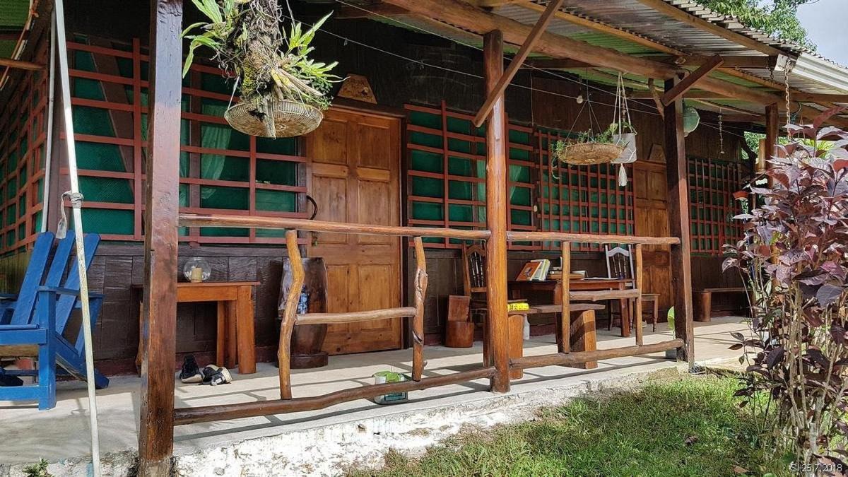 Vista Alta Ecolodge Bahia Drake Drake Bay Zewnętrze zdjęcie