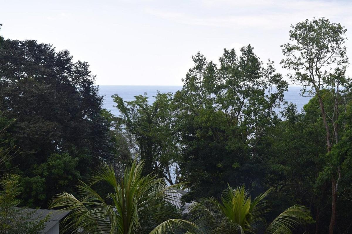 Vista Alta Ecolodge Bahia Drake Drake Bay Zewnętrze zdjęcie