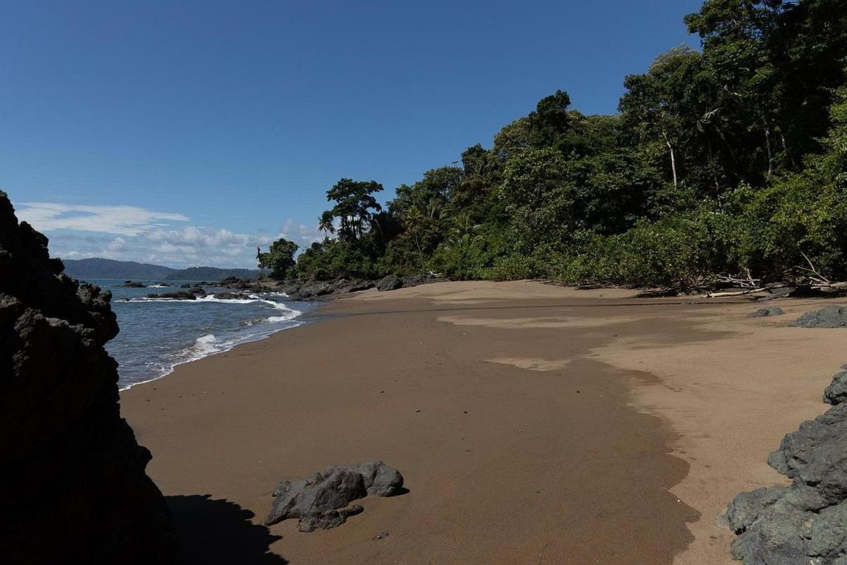 Vista Alta Ecolodge Bahia Drake Drake Bay Zewnętrze zdjęcie