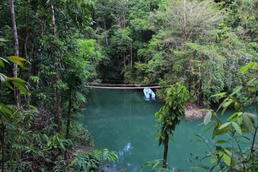 Vista Alta Ecolodge Bahia Drake Drake Bay Zewnętrze zdjęcie