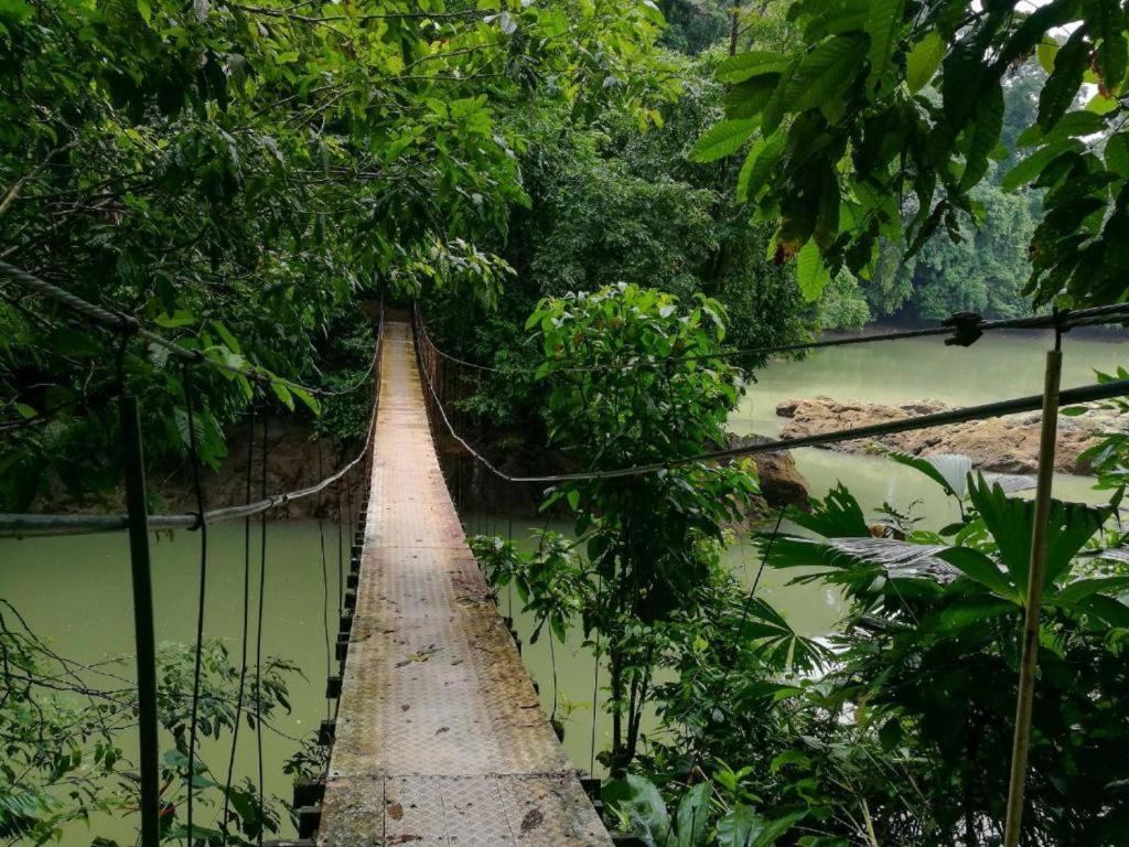 Vista Alta Ecolodge Bahia Drake Drake Bay Zewnętrze zdjęcie