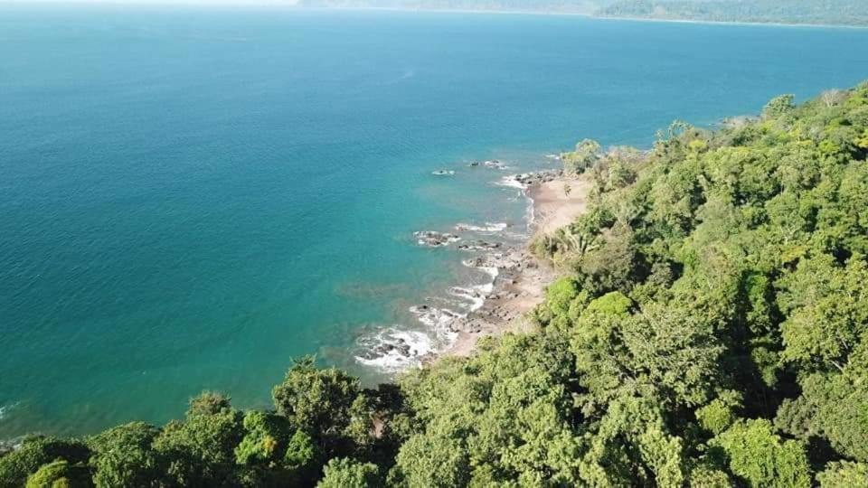 Vista Alta Ecolodge Bahia Drake Drake Bay Zewnętrze zdjęcie
