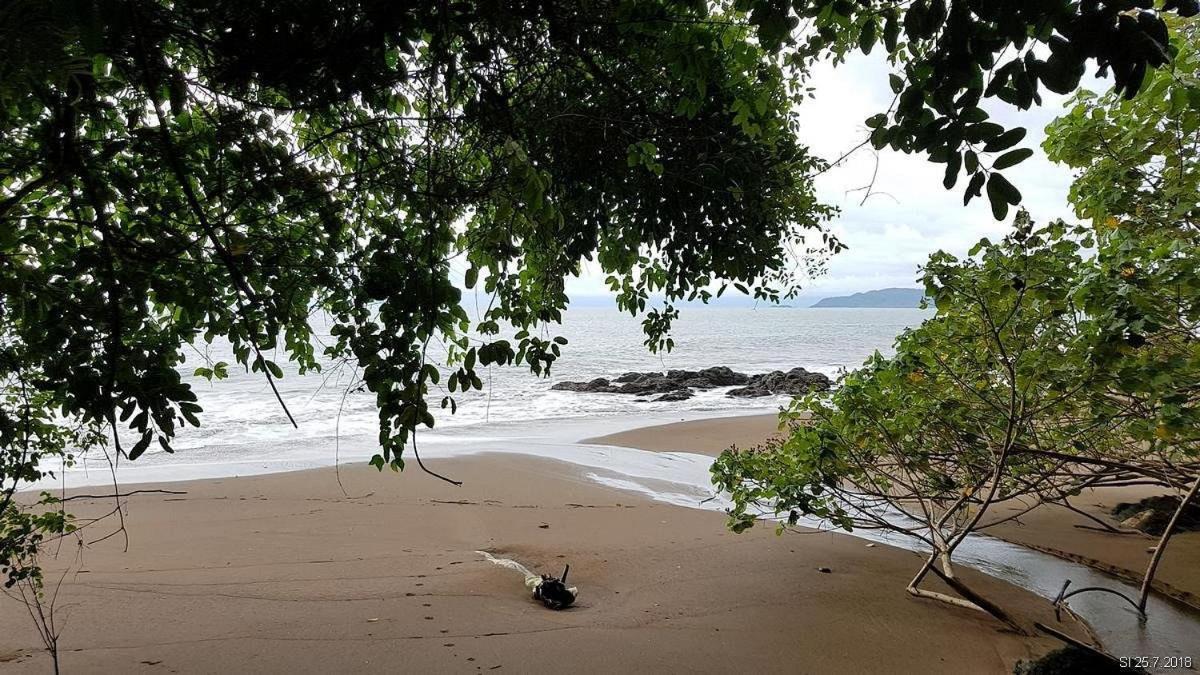 Vista Alta Ecolodge Bahia Drake Drake Bay Zewnętrze zdjęcie