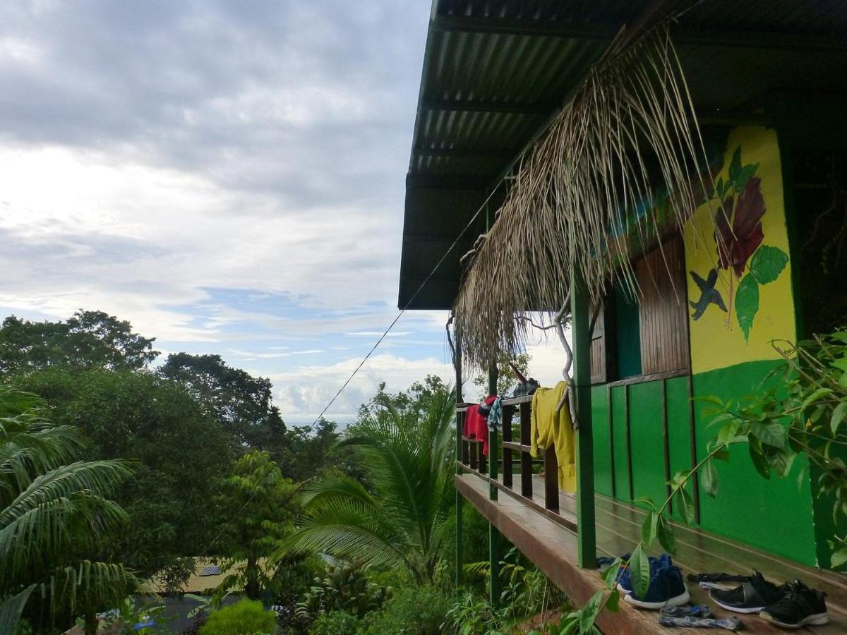 Vista Alta Ecolodge Bahia Drake Drake Bay Zewnętrze zdjęcie