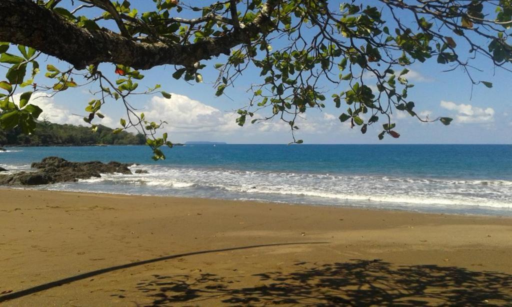 Vista Alta Ecolodge Bahia Drake Drake Bay Zewnętrze zdjęcie