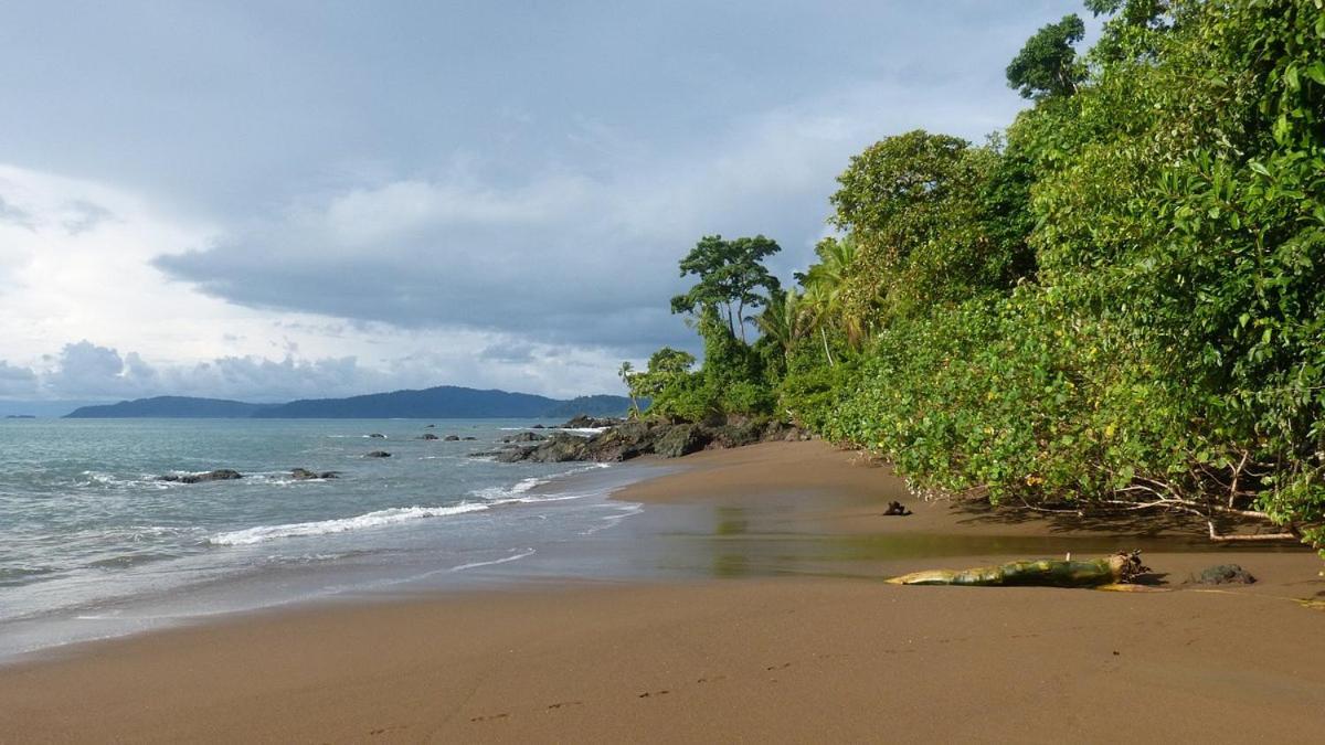Vista Alta Ecolodge Bahia Drake Drake Bay Zewnętrze zdjęcie