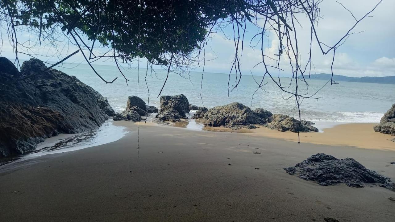 Vista Alta Ecolodge Bahia Drake Drake Bay Zewnętrze zdjęcie
