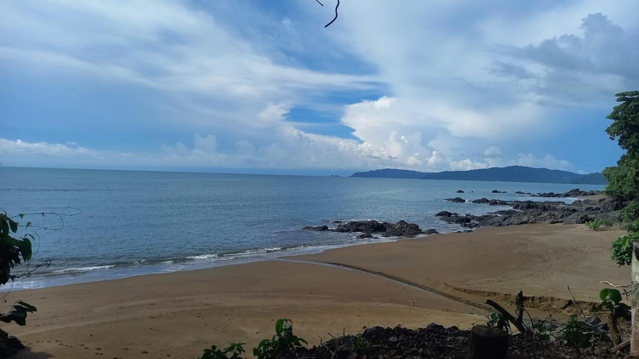 Vista Alta Ecolodge Bahia Drake Drake Bay Zewnętrze zdjęcie