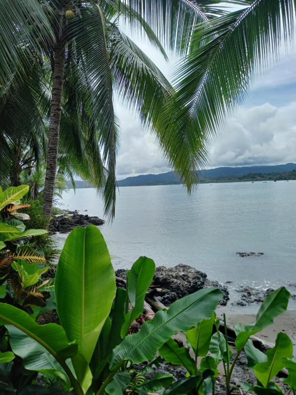 Vista Alta Ecolodge Bahia Drake Drake Bay Zewnętrze zdjęcie