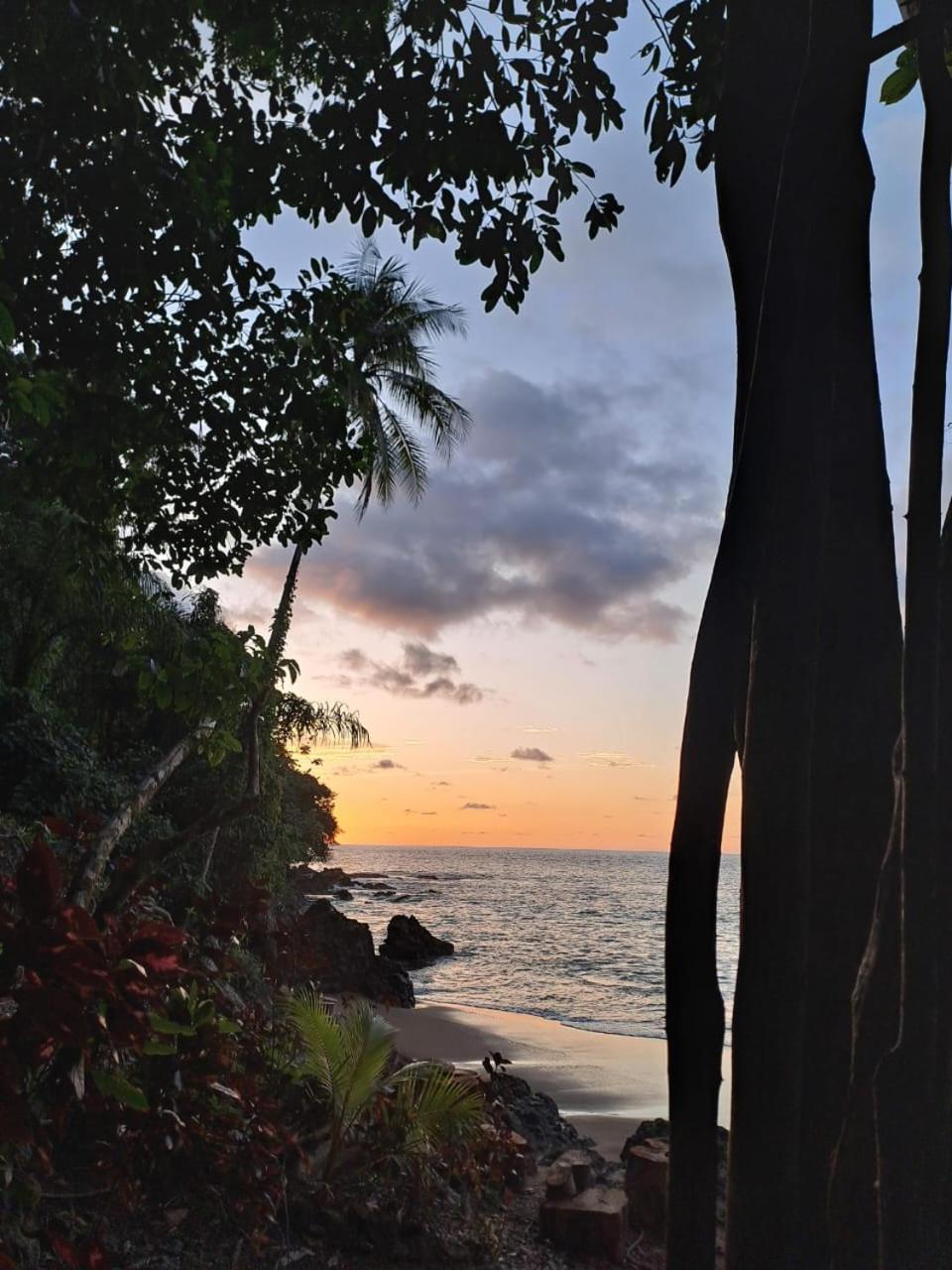 Vista Alta Ecolodge Bahia Drake Drake Bay Zewnętrze zdjęcie