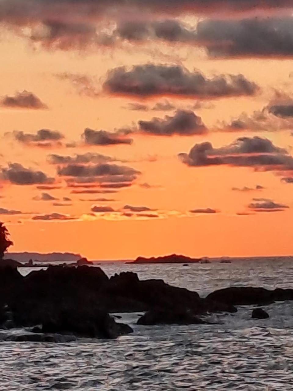 Vista Alta Ecolodge Bahia Drake Drake Bay Zewnętrze zdjęcie