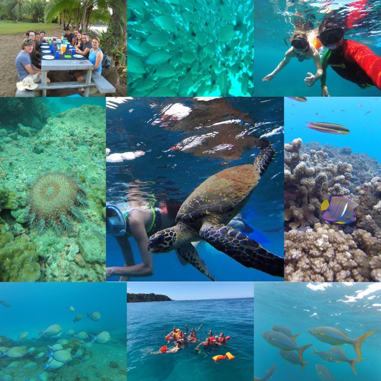 Vista Alta Ecolodge Bahia Drake Drake Bay Zewnętrze zdjęcie