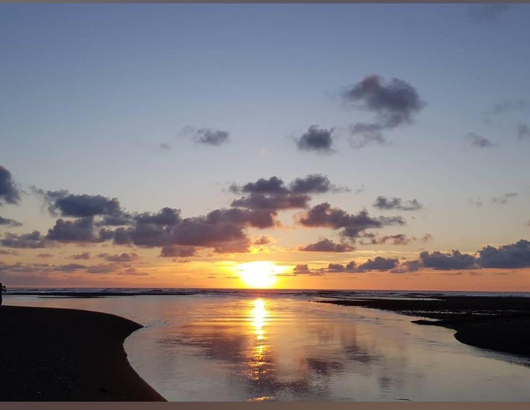Vista Alta Ecolodge Bahia Drake Drake Bay Zewnętrze zdjęcie