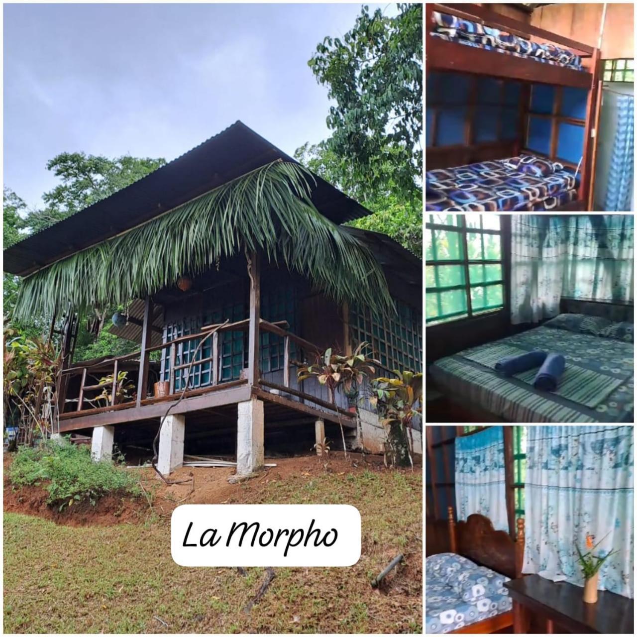 Vista Alta Ecolodge Bahia Drake Drake Bay Zewnętrze zdjęcie