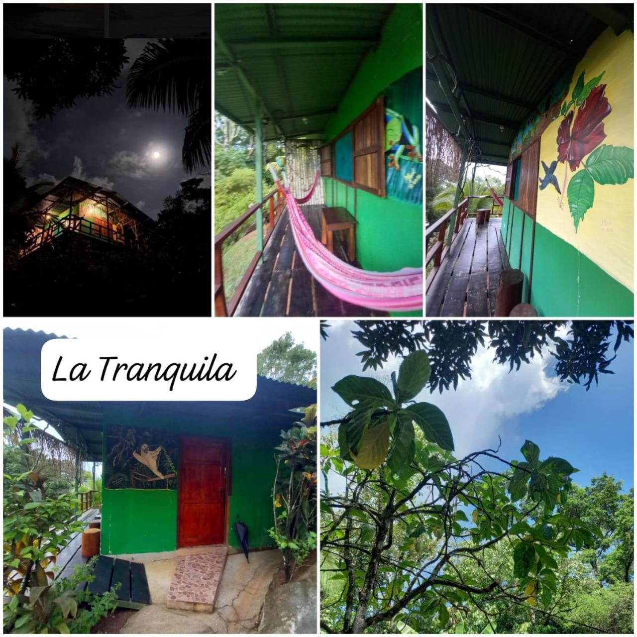 Vista Alta Ecolodge Bahia Drake Drake Bay Zewnętrze zdjęcie