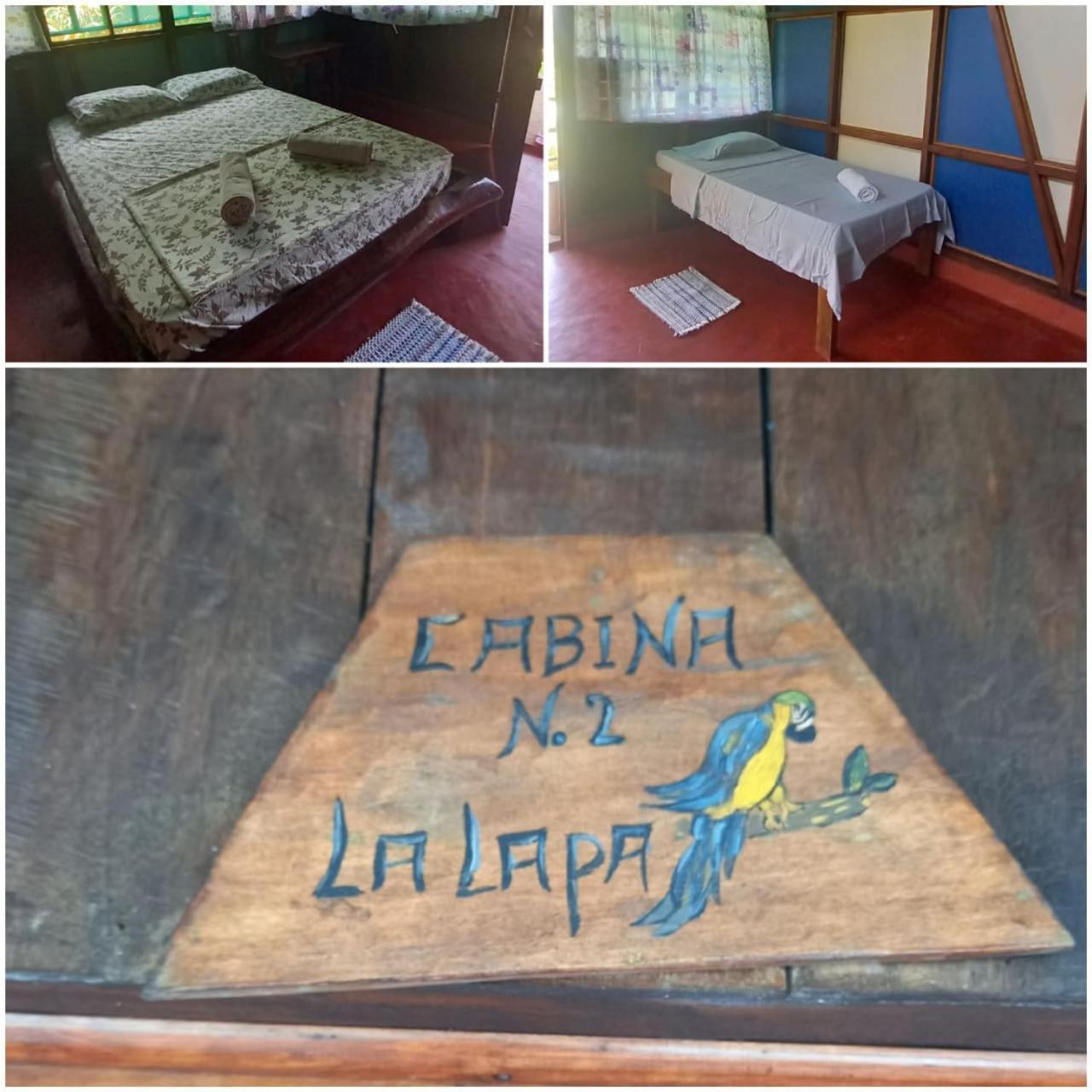 Vista Alta Ecolodge Bahia Drake Drake Bay Zewnętrze zdjęcie