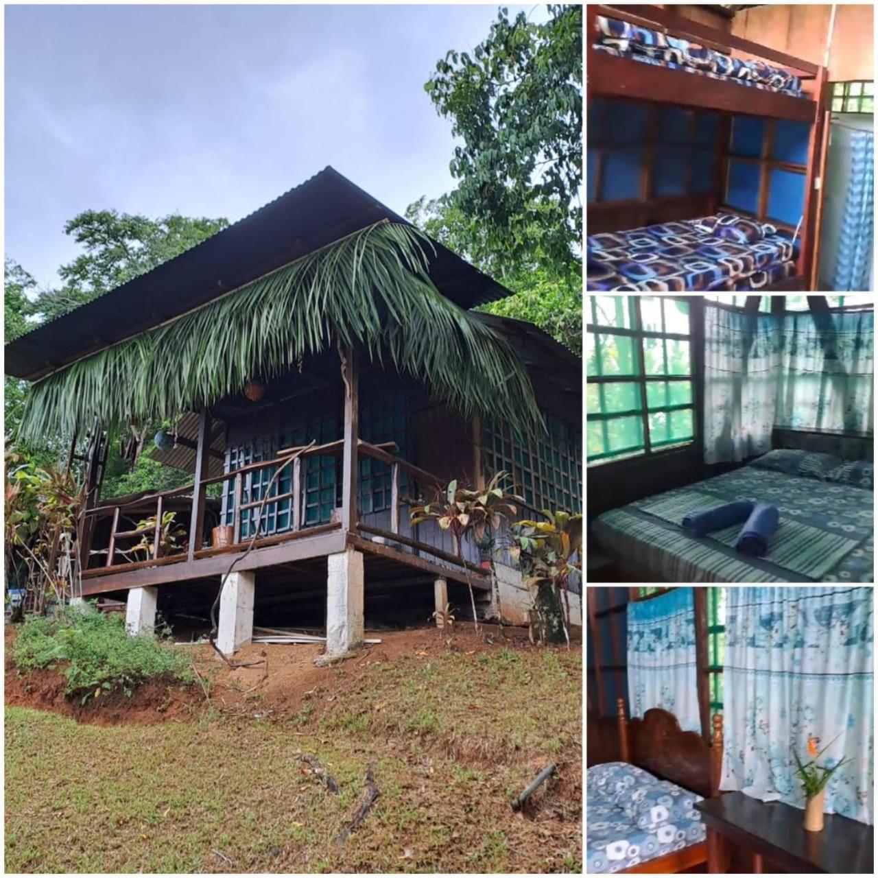 Vista Alta Ecolodge Bahia Drake Drake Bay Zewnętrze zdjęcie