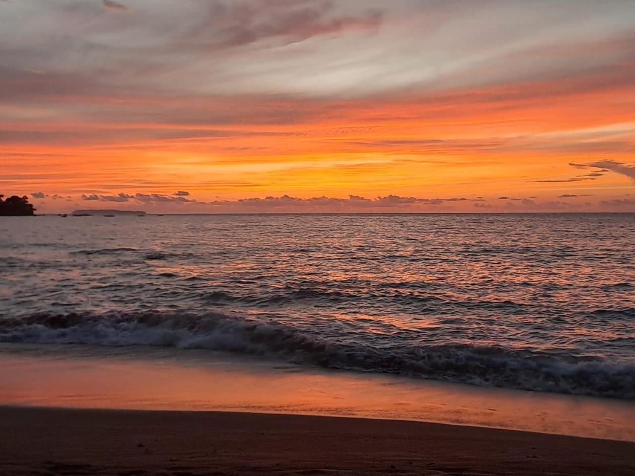 Vista Alta Ecolodge Bahia Drake Drake Bay Zewnętrze zdjęcie