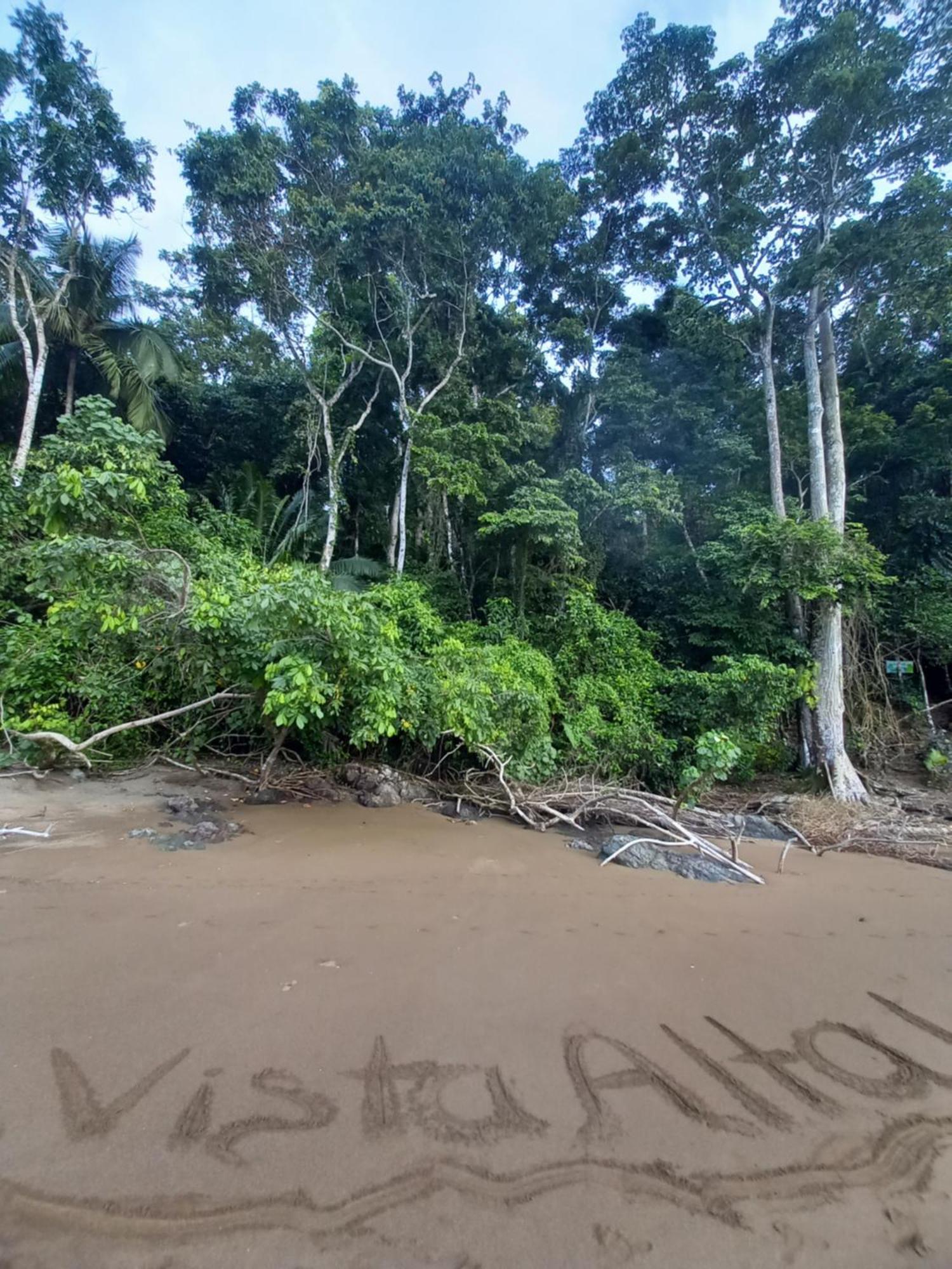 Vista Alta Ecolodge Bahia Drake Drake Bay Zewnętrze zdjęcie