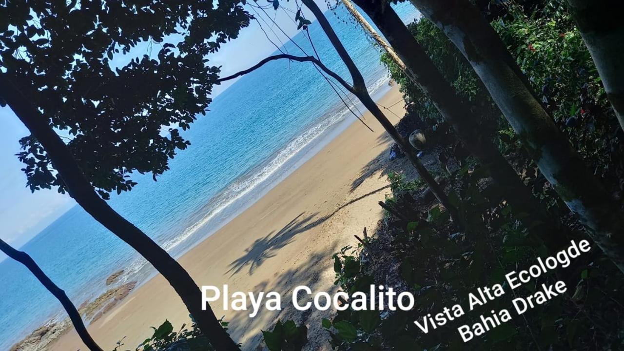 Vista Alta Ecolodge Bahia Drake Drake Bay Zewnętrze zdjęcie