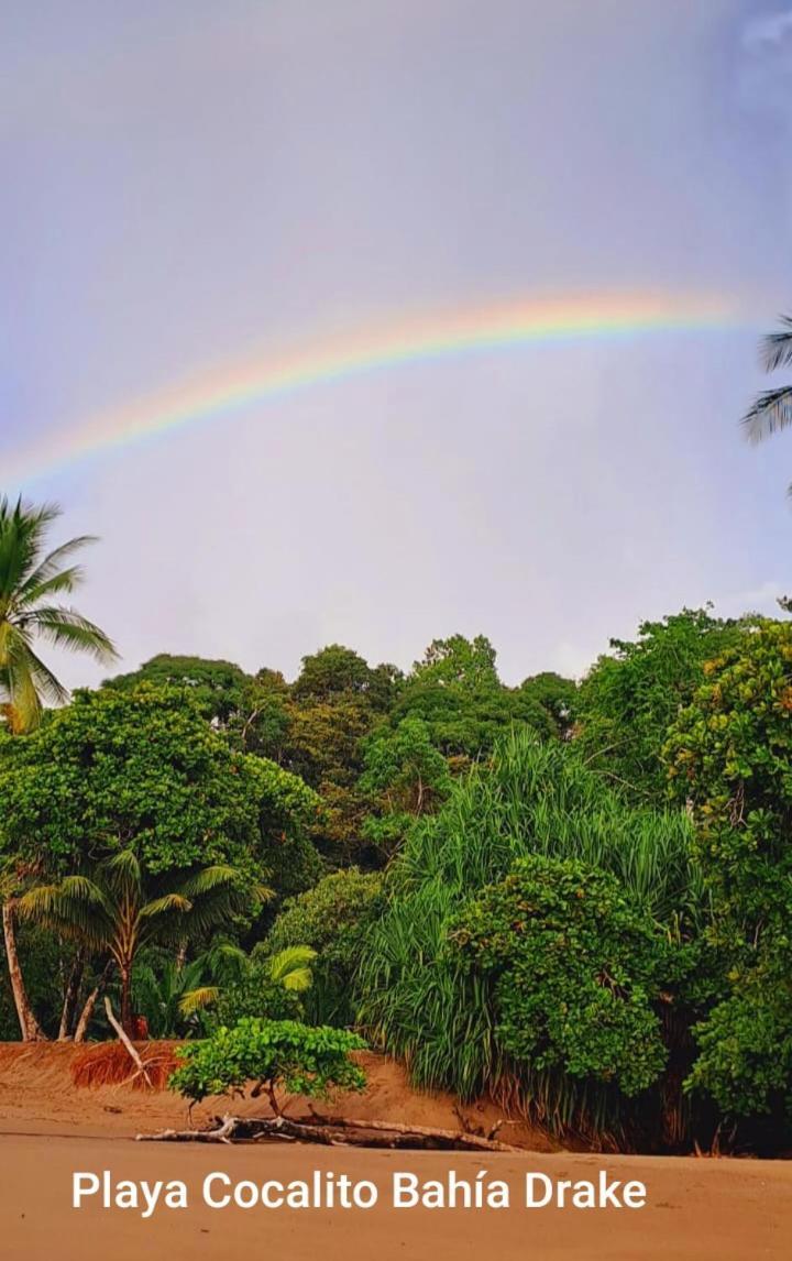 Vista Alta Ecolodge Bahia Drake Drake Bay Zewnętrze zdjęcie
